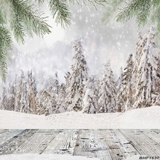 10'x10' Computer-painted CP Outdoor Season Scenic background backdrop BHF1637