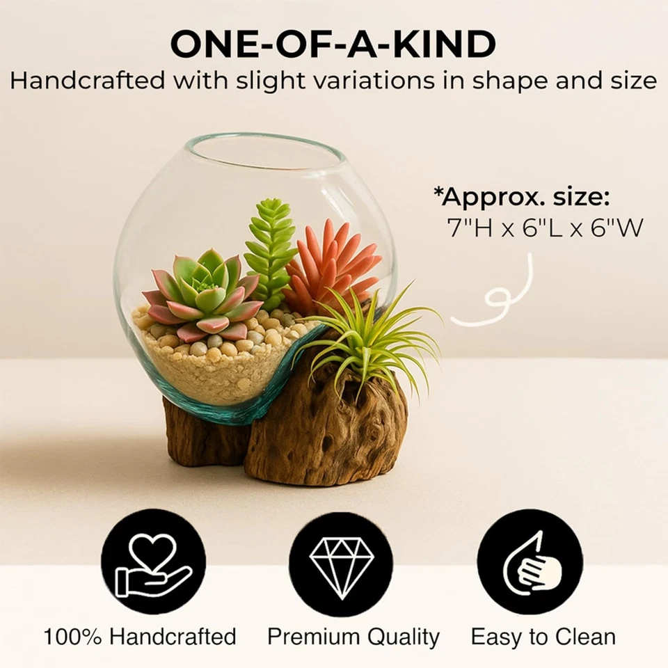 Terrario de vidrio burbuja azul soplado a mano de 7" sobre soporte de madera a la deriva de teca maceta interior Foto 2 de 4