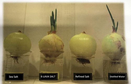 K-LAVA SALT Koreas Nr. 1 Bambussalz – Lila 9 x, Kristall, 70 g, lila salz - Bild 6 von 9