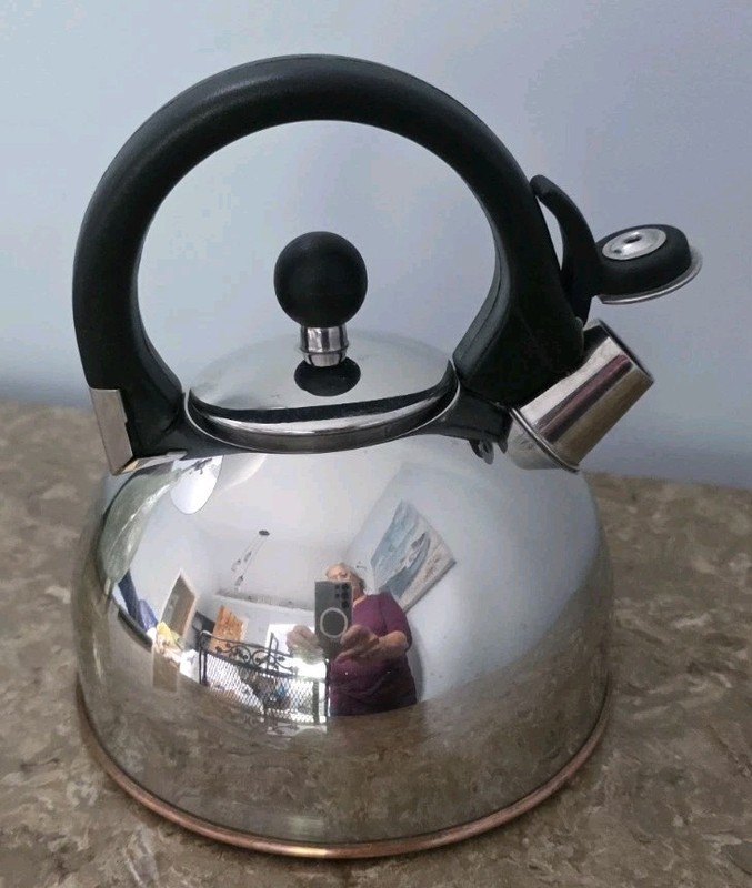 Copco Whistling Tea Kettle Teapot Stainless Steel Brushed