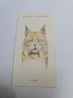 Cigarette card  wills -wild animals heads  - No 36 - free postage - lot  1085
