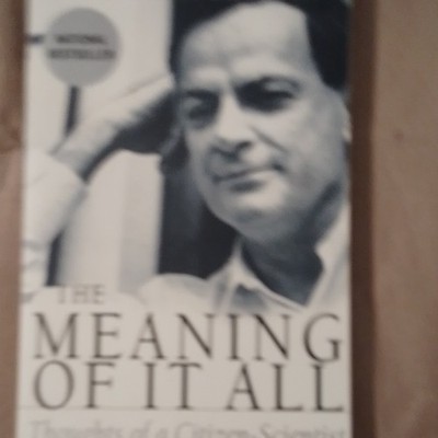 The Meaning of It All Paperback Richard P. Feynman Science Nonfiction