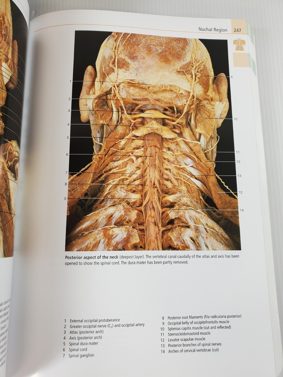 Anatomy A Photographic Atlas 第8版 Amazon.com: Anatomy: A Photographic Atlas (Color Atlas of
