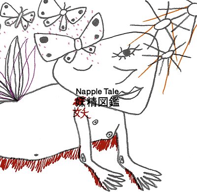 Napple Tale Fairy Book