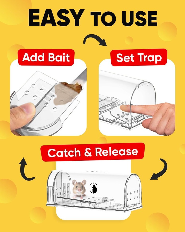 Humane Mouse Trap | Catch and Release Mouse Traps That Rat | Mice Trap ...
