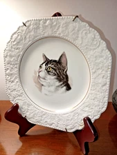 Lord Nelson Pottery Tabby Cat Plate Octagon Embossed Gilt Trim Vintage UK