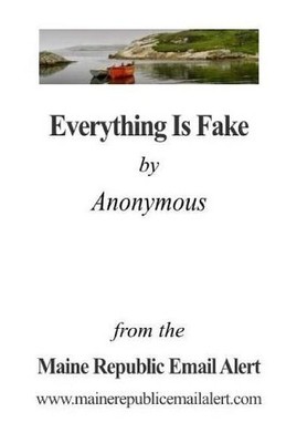 David E Robinson Everything Is Fake (Taschenbuch)
