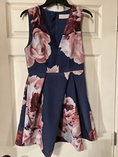 Reformation Keepsake Floral Fit And Flare Dress Size M