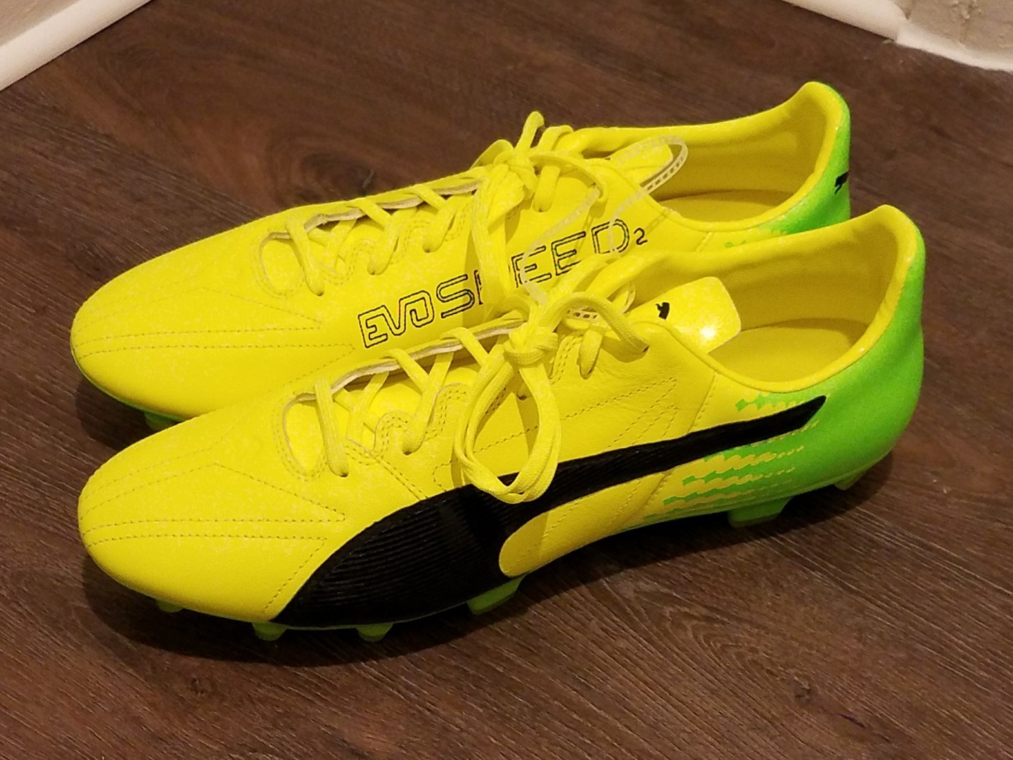 puma evospeed 17.2