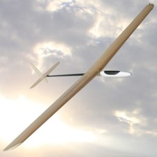 Momentum 1500 mm SAL DLG F3K