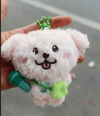 NCT WISH THE 2nd MD GOOD POP UP Plush Keychain Sakuya Shionin RIKU