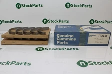 CUMMINS 173620 10 PACK NSFB