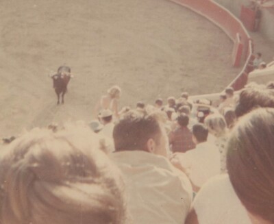 1968 Bullfighting Scene Arena Bull Spectators Exciting Dramatic Event