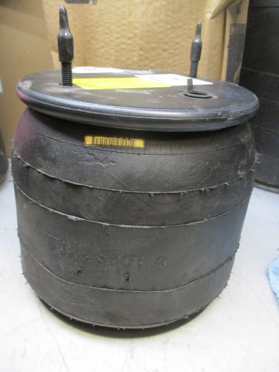 Anapat#9 株分品 s-l1200.jpg