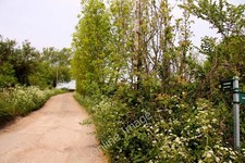 Photo 6x4 Footpath to Forest Hill Holton/SP6006  c2011