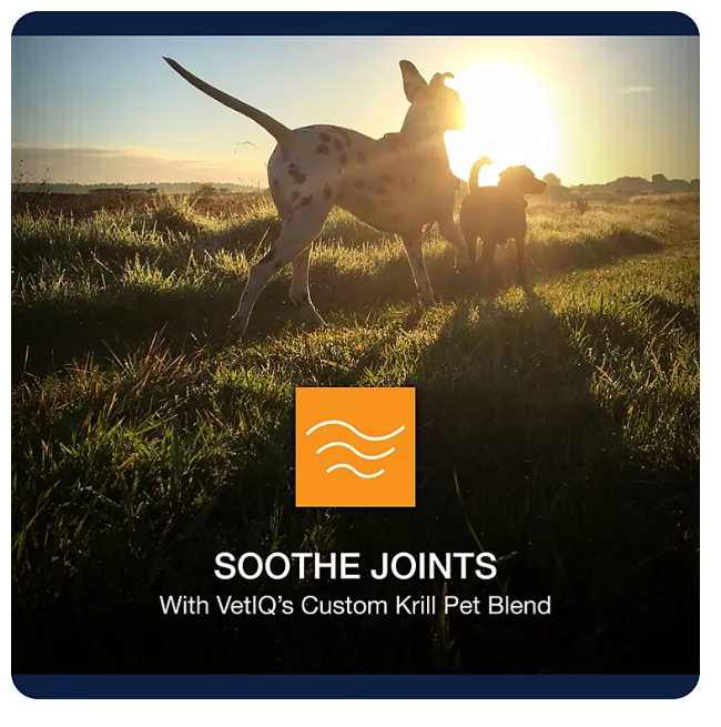 VetIQ Maximum Strength Hip and Joint Chews Supplement for Dogs, {180 ct