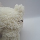 Bild 7 von 8