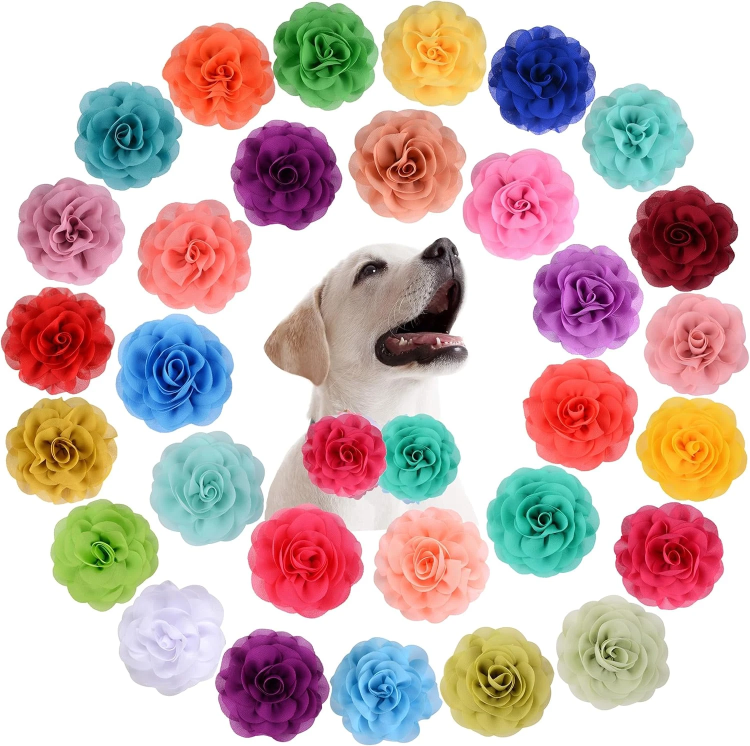 30 Pieces Dog Collar Flowers Accessories Girl Boy Dog Flower Bow Ties Cat Puppy