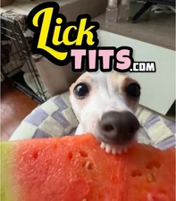 LickTits.com - SHORT .COM DOMAIN NAME! - Adult, XX, Girl, Men, Women, AI, Brand
