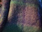 Bild 6 von 11