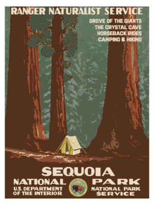1938 Sequoia National Park Vintage Poster, National Park Service Posters Prints