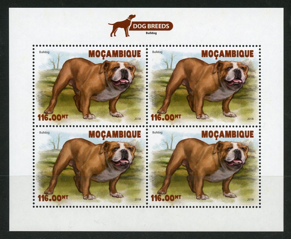 MOZAMBIQUE 2018 DOG BREEDS BULLDOG SHEET MINT NEVER HINGED