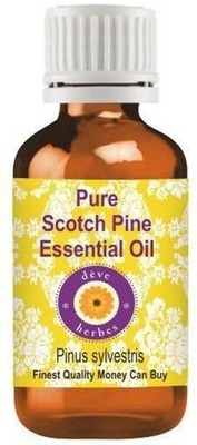 Ätherisches Scotch Pine Oil Natural (Pinus Sylvestris) Oil for Aromatherapy...