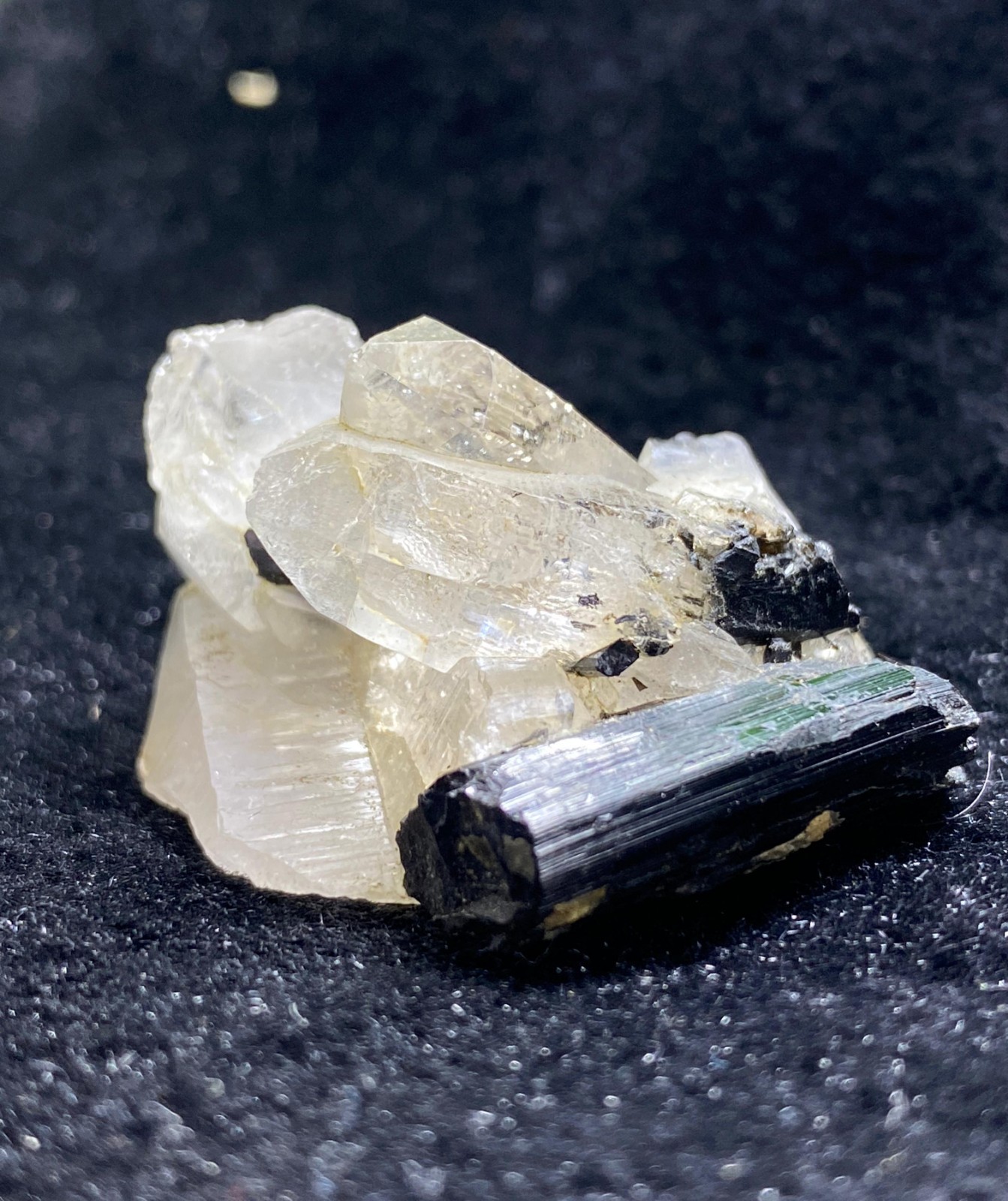 28g Natural Quartz with Black Tourmaline Crystal Specimen from Pakistan