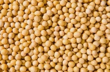 Jayone Non-GMO USA Soybeans for Tofu Soymilk Vegetarian Protein 4lb. (64 oz)