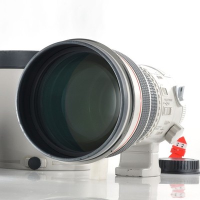 Canon EF 300mm F2.8 L USM Super Telephoto AF Lens from Japan [Exc+3]