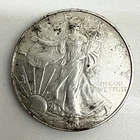 2005 American Silver Eagle 1 oz .999 Fine Silver $1 Coin - Circulated & Toned