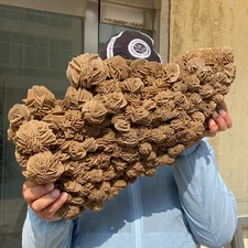 38.52LB Large Top Rare DESERT ROSE SELENITE Specimen Crystal Stone Cluster