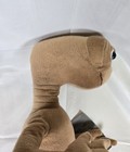 Foto 8 di 10