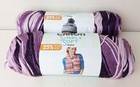 CARON Simply Soft Yarn Grape Purple Ombre Shades Lot of 2 Skeins 5 oz Acrylic