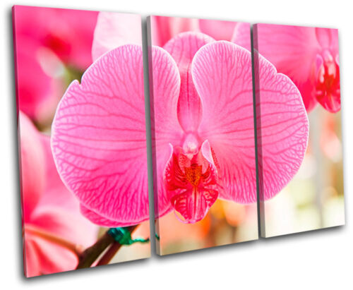 Orchid Flowers Floral TREBLE CANVAS WALL ART Picture Print VA - Picture 1 of 1