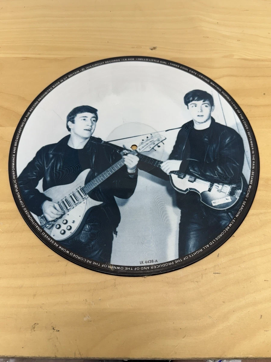 The Beatles Picture Disc Vinyl Records for sale | eBay