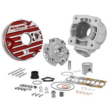 Cilindro Malossi DM 52 MHR 100cc FLANGED MOUNT Piaggio ZIP SP 50 2T LC - MF8819