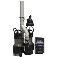 Ion Power Pac 1/3 Hp Stainless Steel Duplex Sump Pump System W/ Ion Genesis C... on sale Ion Power Pac 1/3 Hp Stainless Steel Duplex Sump Pump System W/ Ion Genesis C... on sale
