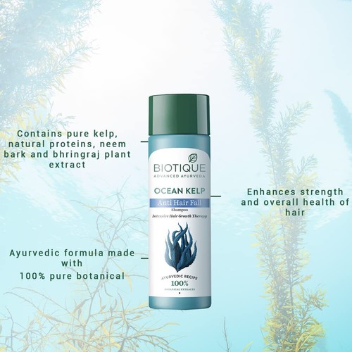 Biotique Ocean Kelp Shampoo For Anti Hair Fall Intensive Hair Regrowth Treatment - Picture 8 of 11