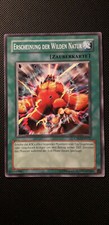 Yu-Gi-Oh! Erscheinung der wilden Natur, CP03-DE017, Common, 2.Aufl., NM/ Back EX
