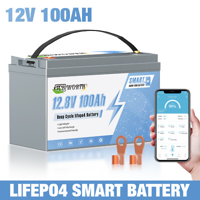 12V 100Ah LiFePO4 Lithium Battery BMS Smart Solar Deep Cycle Camper Marine RV