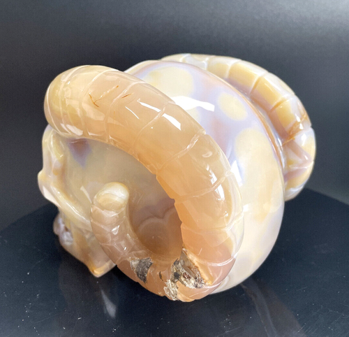 Geoda de ágata natural de 5,8"" piedras preciosas de cristal talladas cráneo racimo esqueleto curación - Imagen 6 de 9