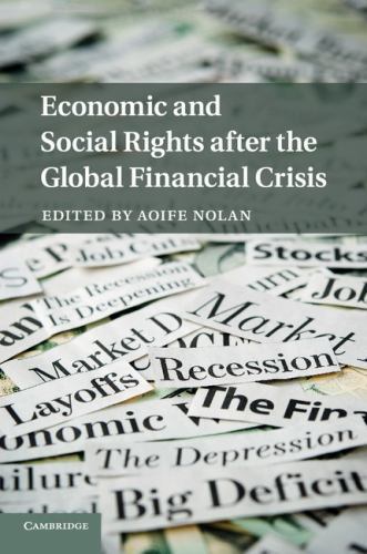 Economic and Social Rights after the Global Financial Crisis Nolan Paperback