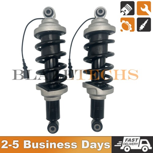 Lamborghini Huracan 2015-2022 Rear Right Adaptive dampers 2 pcs Photo - $260