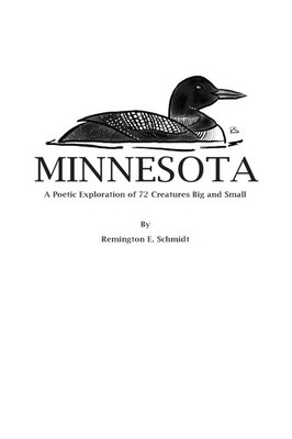 Remington E Schmidt Minnesota (Paperback)