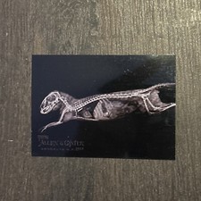 2024 Topps Allen & Ginter Dwarf Mongoose #XR-14 Oregon Zoo X-Ray 