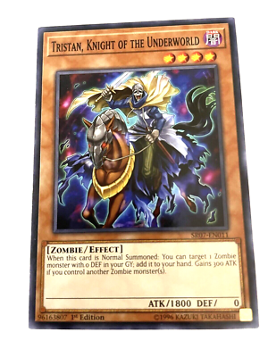 Tristan, Knight of the Underworld - SR07-EN011 - Common - 1st Ed - M/NM Yugioh! Tristan, Knight of the Underworld - SR07-EN011 - Common - 1st Ed - M/NM Yugioh!