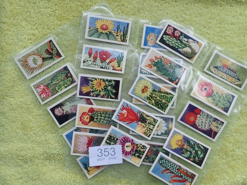 LAMBERTS OF NORWICH 1962 CACTI -  Full Set 25 Trade Cards  - Picture 1 of 7