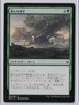 MTG New Horizons War of the Spark (WAR) Japanese Common Magic #168/264 Unplayed