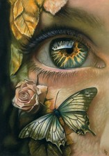 original drawing 16.6 x 24 cm 54BV artwork pastel female eye&butterfly